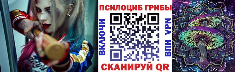 OMG ссылки  Пудож  даркнет какой сайт  Псилоцибиновые грибы GOLDEN TEACHER 