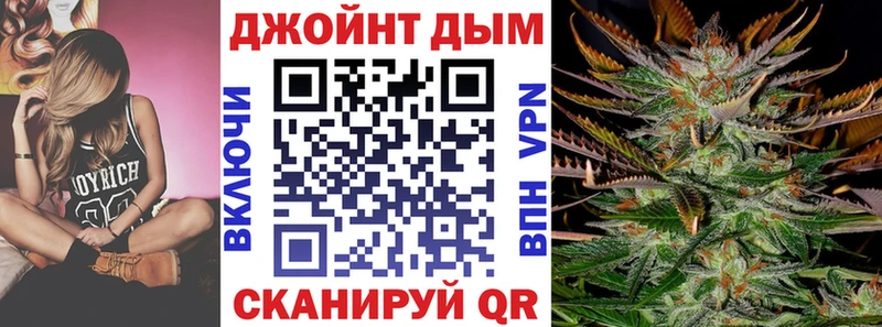 Бошки Шишки планчик  Пудож 